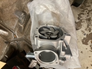 image8.jpeg